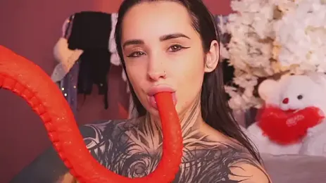 EvaCanton 스트림 이미지