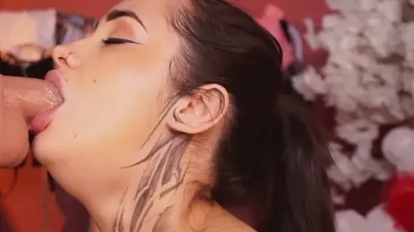 EvaCanton 스트림 이미지