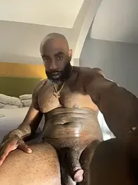 QHefner52 스트림 이미지
