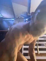 HandyBro 스트림 이미지
