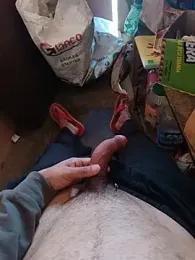 Himachali_bull_27 웹캠 미리보기