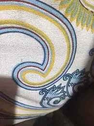 CplAnita 스트림 이미지