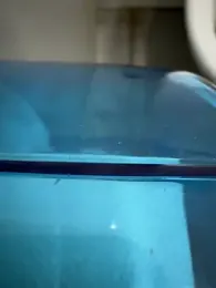 Turkishcruising 스트림 이미지