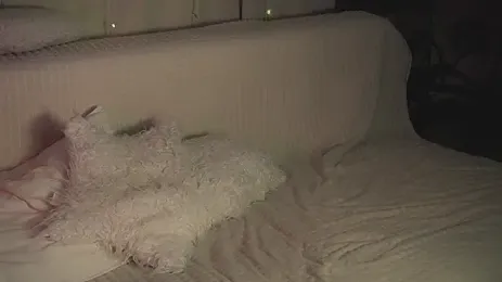 AnnyBangs 스트림 이미지