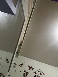 AmbarFoxx_ 스트림 이미지