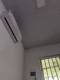 Bigfoda 스트림 이미지