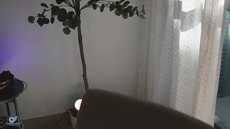 anabelcurvy 스트림 이미지