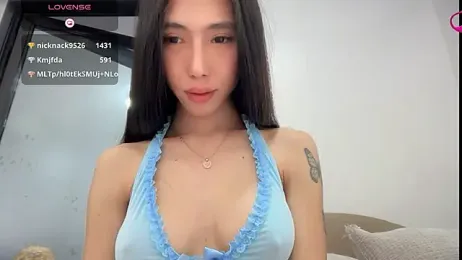 bajejek01 스트림 이미지