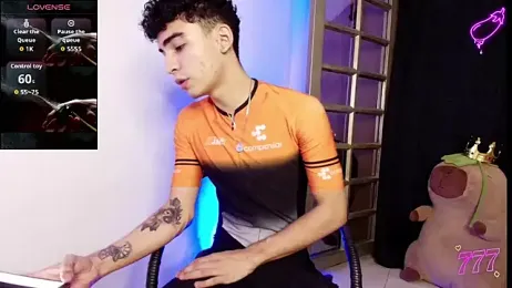 tiancam 스트림 이미지