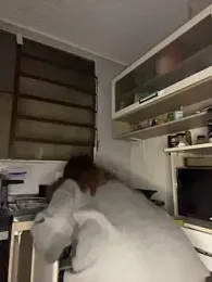A_maddy 웹캠 미리보기
