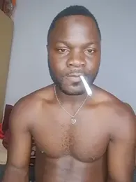 Petrossa 스트림 이미지